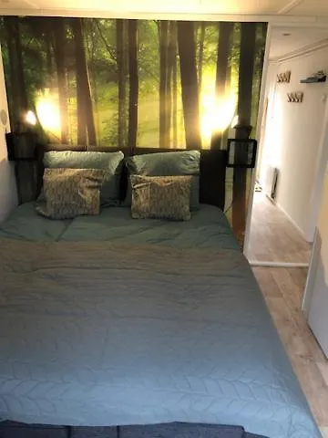 Chalet Hottub Forest Op De Veluwe! *